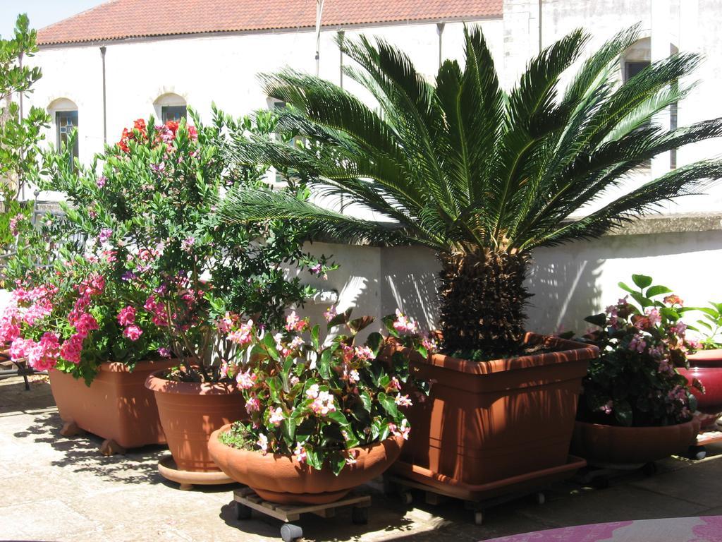 B&B Corte Barocca Lecce Exteriör bild